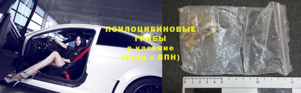 сатива Армянск
