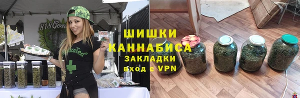сатива Армянск